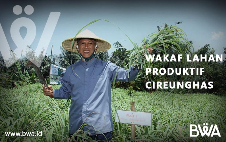 Kenalan Lebih Dekat dengan Wakaf Lahan Produktif di Cireunghas